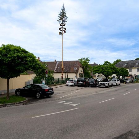 Wachau Ruhepol / 45M² / Idyllisch Mit Gartenterrasse Mautern Zewnętrze zdjęcie